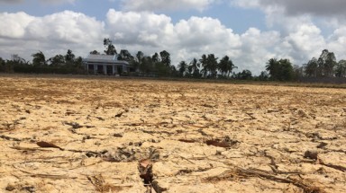  Cuối tháng 3 trở đi, mặn có thể xâm nhập sâu tại Đồng bằng sông Cửu Long 