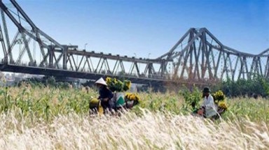  Nhà đầu tư tự góp kinh phí lập quy hoạch hai bờ sông Hồng