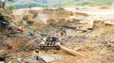  Tan hoang vì vàng sa khoáng