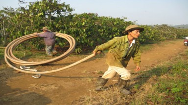  Bão số 1 làm lợi lớn cho Đắk Lắk