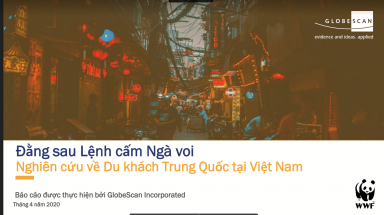 Báo cáo “Đằng sau lệnh cấm ngà voi – Nghiên cứu về khách Trung Quốc du lịch nước ngoài”