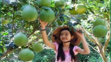 Những quy định mới có hiệu lực trong tháng 4
