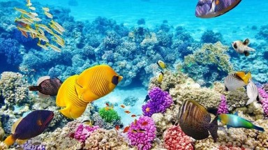  Thế giới không tránh khỏi việc nóng lên 1,5 độ, nhân loại chờ đón hậu quả