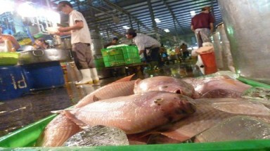 "Sốc": Người Sài Gòn tẩy chay cá diêu hồng 