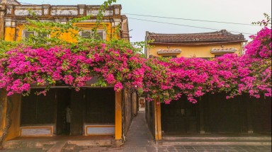  Lời giải cho những bức tường mang màu thời gian ở Hội An