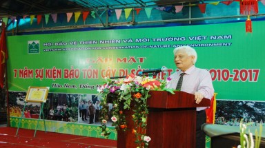  Bảo tồn Cây Di sản: Chặng đường 7 năm