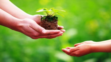  Hạt giống tốt cho đời!