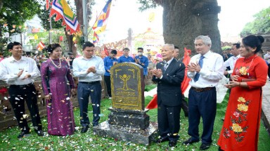  Vinh danh cây di sản bên cạnh pháo đài thép