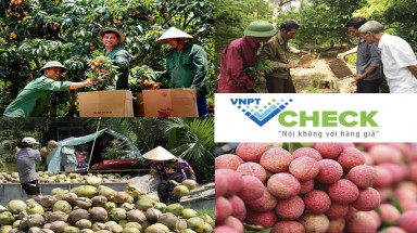  VNPT được vinh danh tại giải thưởng kinh doanh Châu Á Thái Bình Dương Stevie Awards năm 2019