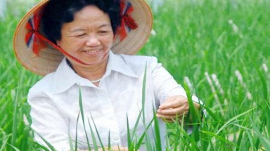  Công bố 10 kỷ lục Việt Nam trong lĩnh vực Sở hữu Trí tuệ