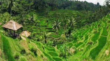  Những bức ảnh Panorama xuất sắc