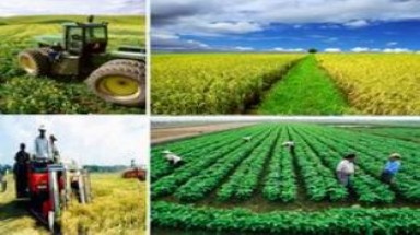  Bộ NN&PTNT phê duyệt Đề án phát triển ngành trồng trọt