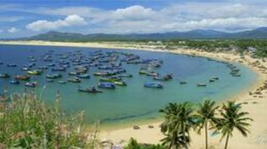  Về việc nạo vét, tận thu cát nhiễm mặn xuất khẩu ở Bình Định