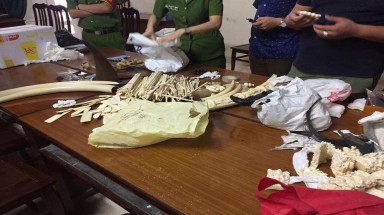  “Đầu sỏ” trong đường dây buôn bán ĐVHD quý hiếm bị bắt giữ