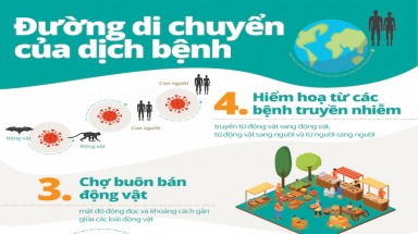  Nỗ lực đóng cửa thị trường buôn bán động vật hoang dã của chính phủ Việt Nam sẽ nhận được sự ủng hộ mạnh mẽ từ công chúng