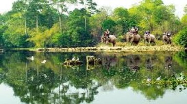  Quy hoạch bảo tồn và phát triển bền vững Vườn quốc gia Yok Don 