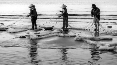  Lộc Hà sau bốn năm hồi sinh từ vùng biển chết 