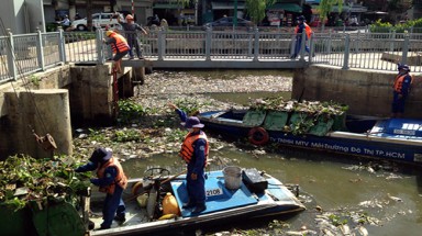  TP HCM muốn giảm đàn cá ở kênh Nhiêu Lộc