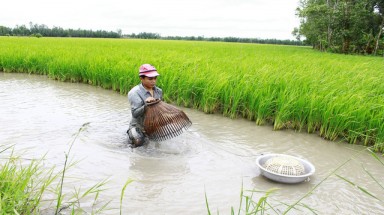  Nông nghiệp 4.0 giúp giảm tác động biến đổi khí hậu