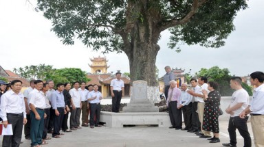  Nam Định: Xã Hải Anh đón Bằng công nhận cây Di sản Việt Nam nhân ngày Giỗ tổ Hùng Vương