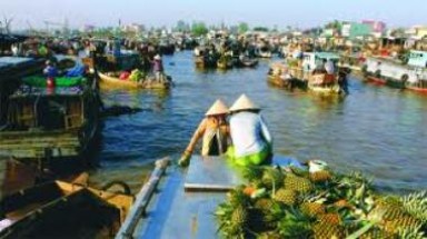  Đồng bằng sông Cửu Long chú trọng đào tạo nghề, giải quyết việc làm cho người lao động 