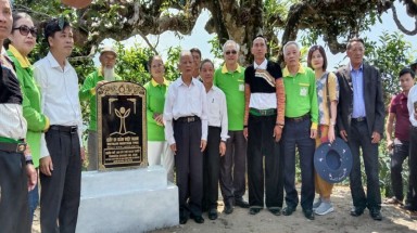  Hoạt động bảo tồn, vinh danh Cây Di sản đã lan toả rộng khắp cả nước