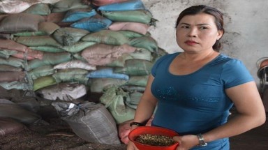  Xem xét phê chuẩn lệnh bắt khẩn cấp 5 người vụ "cà phê pin"