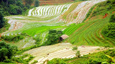  Thời tiết khô nóng, ít mưa, Sa Pa thiếu nước sinh hoạt trầm trọng