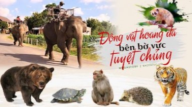  Hội thảo lấy ý kiến tháo gỡ nút thắt trong xử lý các vụ vi phạm quy định bảo vệ ĐVHD khu vực Tây Nguyên 