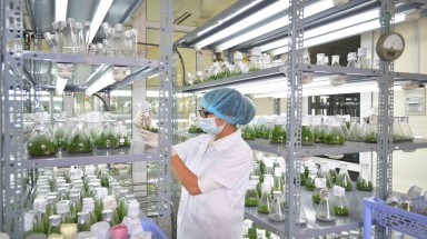  Quản lý và chia sẻ lợi ích từ nguồn gen hướng tới sự phát triển bền vững