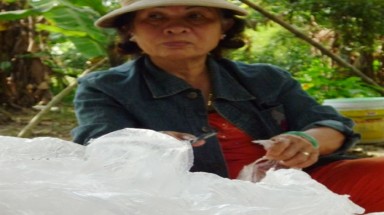Nhặt rác làm phước