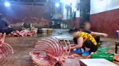  Người dân như bị tra tấn bởi tiếng kêu la thảm thiết từ lò mổ hết phép