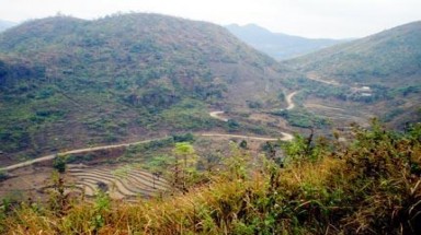   Trồng rừng... “trên giấy” ở Bắc Cạn