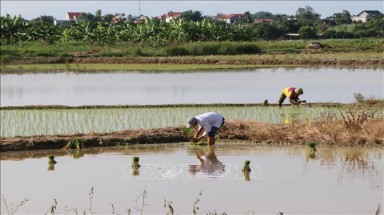  Góp ý hoàn thiện dự thảo Nhiệm vụ lập Quy hoạch sử dụng đất quốc gia