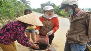 Lên non "săn" ốc đặc sản