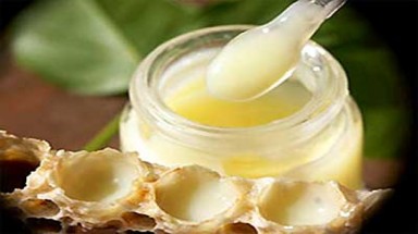  Sữa ong chúa gây phát dục sớm