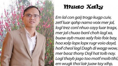 Tranh cãi về ”Chữ VN song song 4.0”