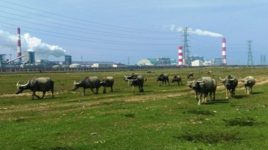   Formosa để lại bài học đau xót về nhân tai