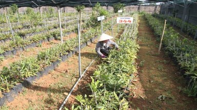  Quảng Trị: Trưởng Phòng TN-MT bị cách mọi chức vụ trong Đảng do buông lỏng quản lí đất đai