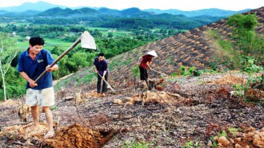   Ninh Thuận: Tạo môi trường thuận lợi để người dân tham gia quản lý, bảo vệ rừng 