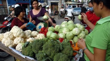  Đói vi chất