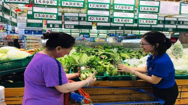  Bao bì lá cây, giấy... trở lại