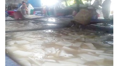  Thất kinh với công nghệ làm thạch dừa từ... phân bón !