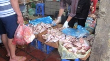  Chợ gà siêu rẻ ở Hà Nội