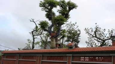 Tài sản của con Bí thư Hải Dương: Cơ quan Trung ương cần làm rõ