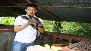  "Chuyên gia" thuần hóa chồn hương