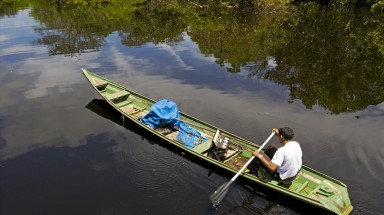 "Phục hồi xanh" có thể giúp hồi sinh nền kinh tế và chống biến đổi khí hậu