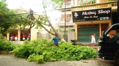  Lào Cai vừa xảy ra gió lốc mạnh 