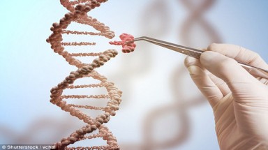   Tìm ra phương pháp tiêu diệt hoàn toàn virus HIV