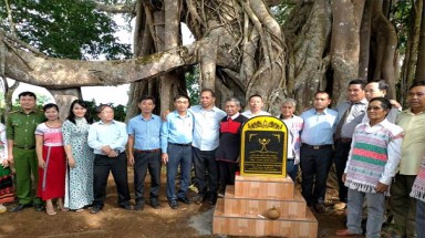  Hội BVTN&MT Tây Nguyên tích cực bảo vệ rừng và chuẩn bị kế hoạch hành động cho nhiệm kỳ tới